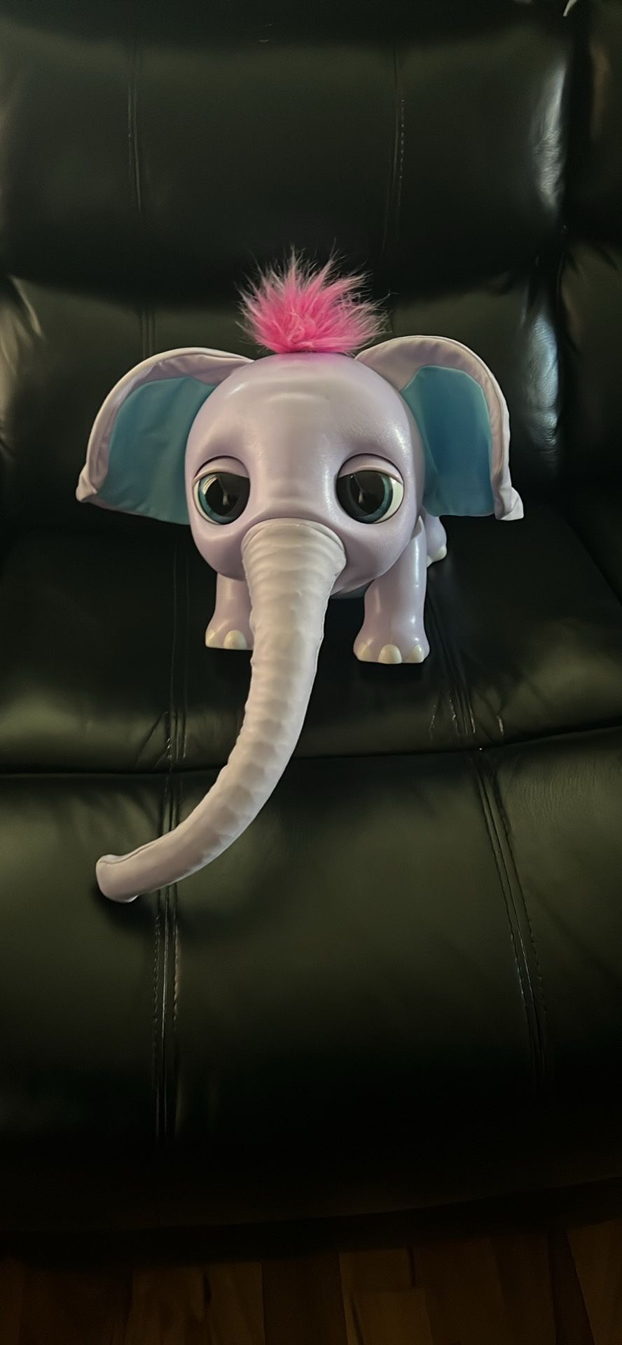 Baby Elephant Juno