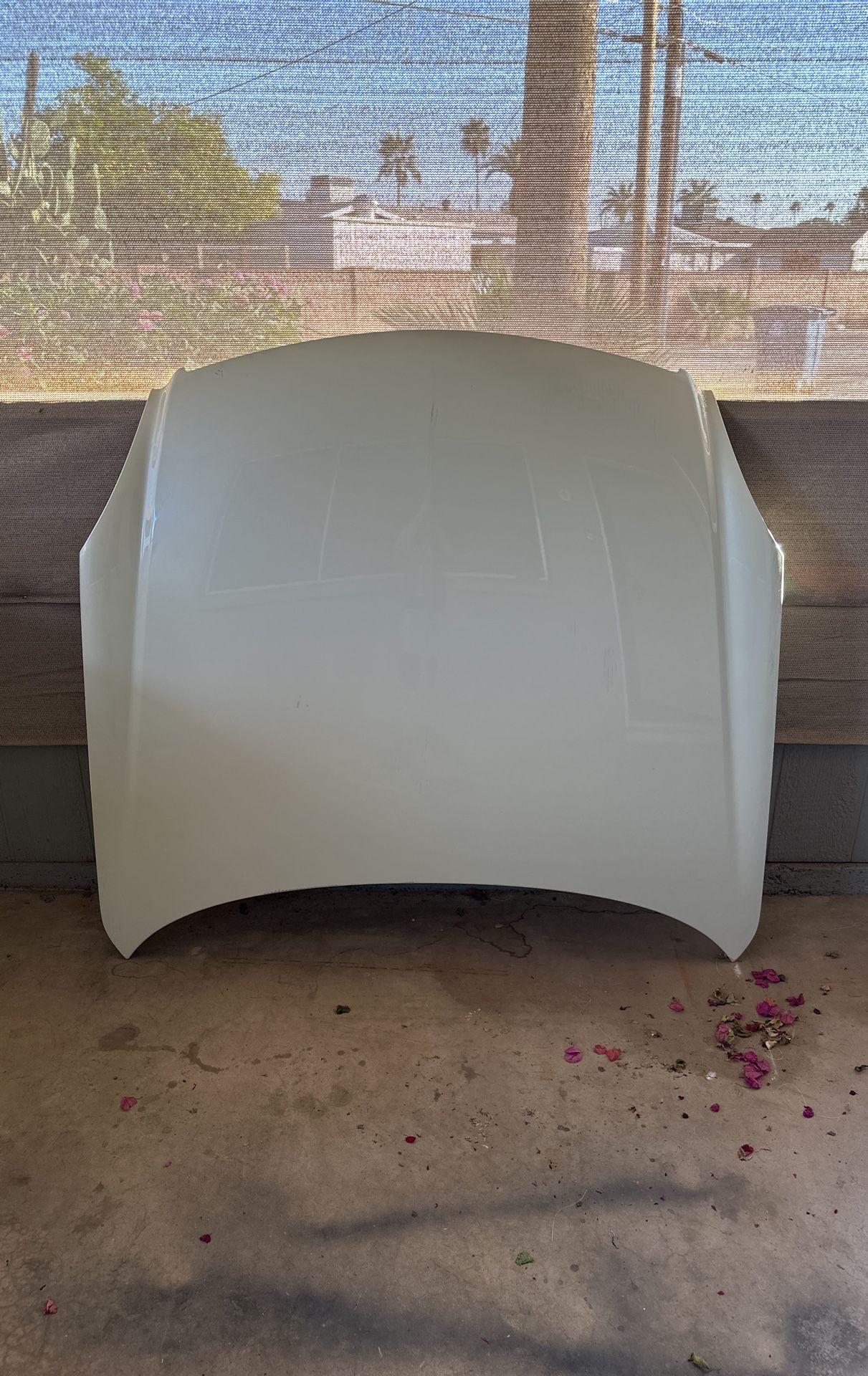 G35-Hood & Bumper Cover