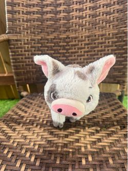 Pua plush from Moana $15