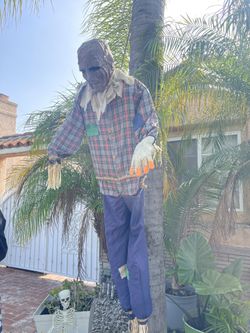 Scarecrow