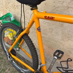 Cannondale bike mountain bike