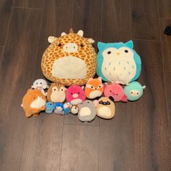Squishmallows And Plush