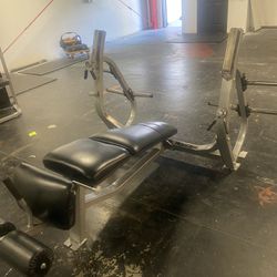 Promaxima Commercial Olympic Decline Bench