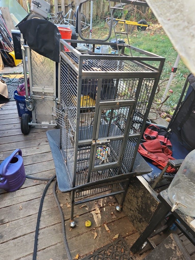 Bird Cage Great Cage