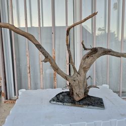 Spiderwood for Fishtanks