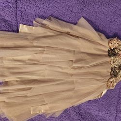 Dresses 7/8