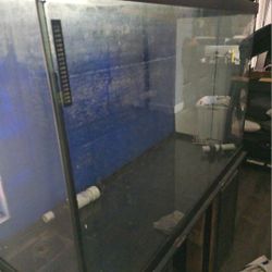 120 Gallon With Stant And Filter
