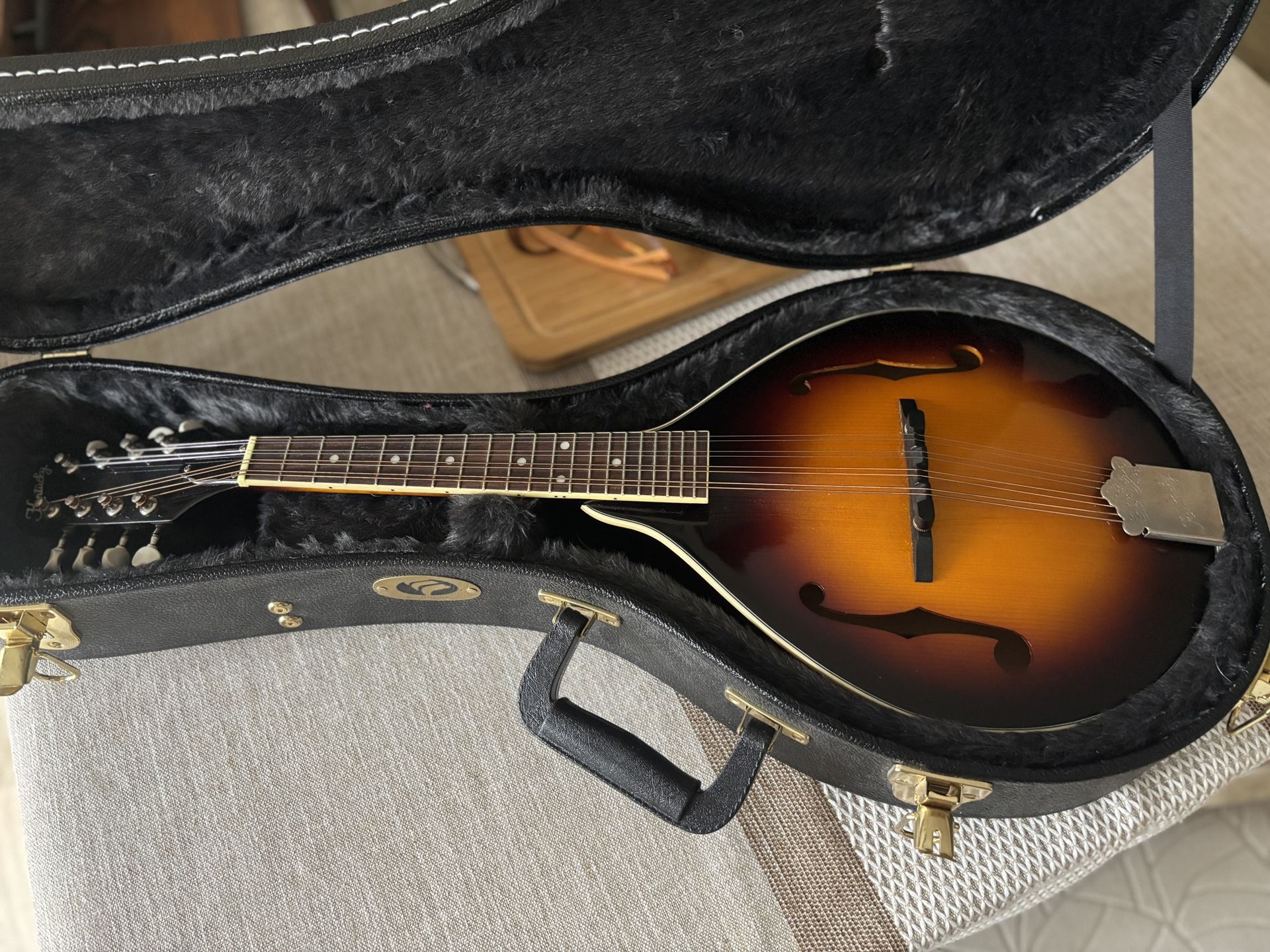 Beautiful Mandolin