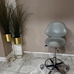 Beauty Chair