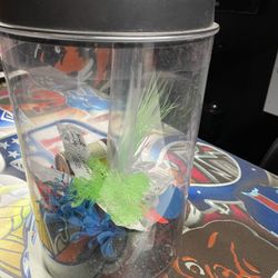 Kids New Aquarium With Plants Pimp Filter Light