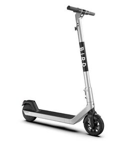 Bird Electric Scooter