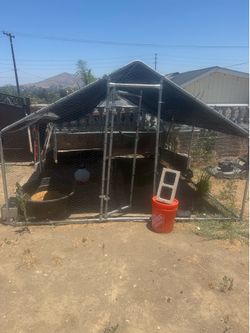 Big Chicken wire house