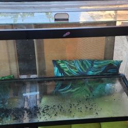 29 GAL Tank With Glass Top