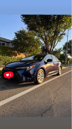 2024 Toyota Corolla LE Clean Title