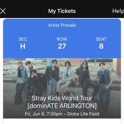 Stray Kids Floor Ticket