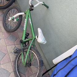 SE Bronco