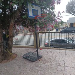 Basketball Court 