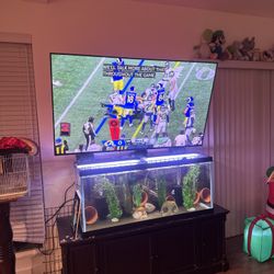 75 Gallon With Solid Wood Stand