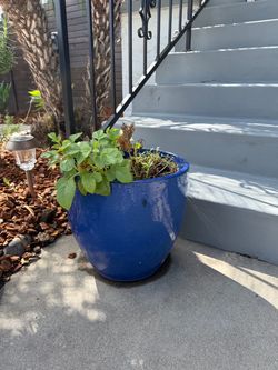 Blue Ceramic Pots