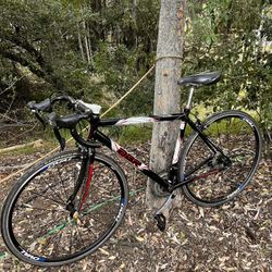 Diamond Back Podium 2 