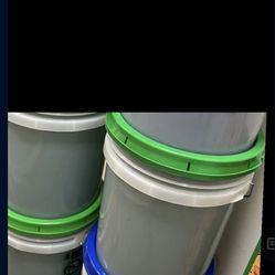 Gain Laundry Detergent 5 Gallon