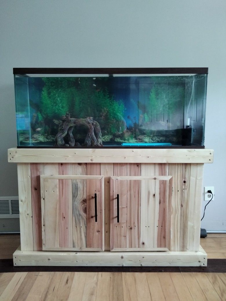 50 Gallon aquarium and stand