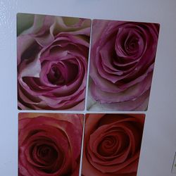 Floral photographic magnets 4.5X5 $5 each