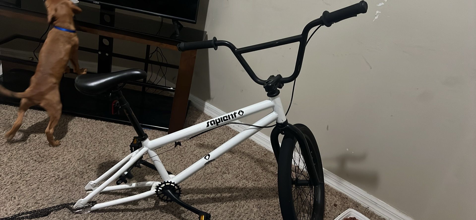 Sapient BMX Bike