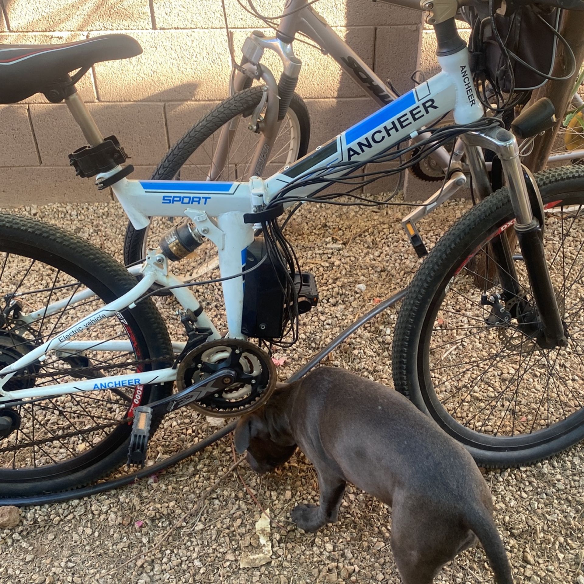 Archer Sport Electric Bike! - thefunkyskunk.ie