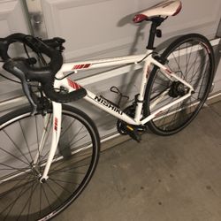 Nishiki Maricopa Road Bicycle 