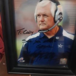 Dallas Cowboys Wade Phillips 