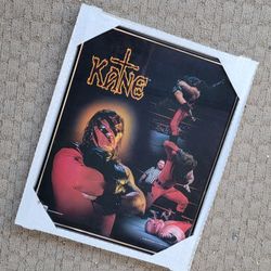 wwf / KANE - rare vintage 16 x 20 framed poster, details in posting
