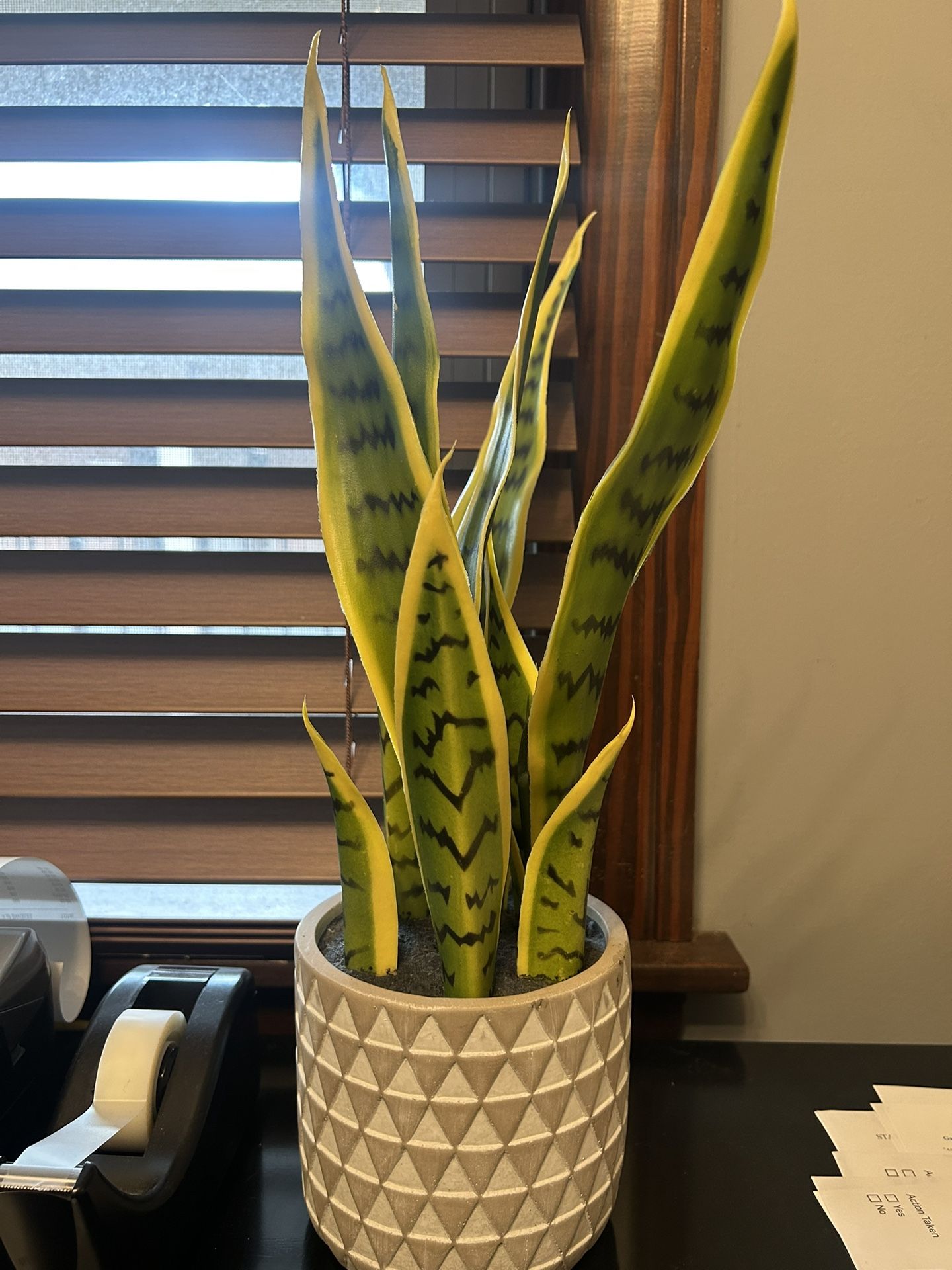 Faux Potted Snake Plant