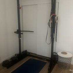 Power Rack With Bullhorn Dip Station Attachment Squat Rack Weight Barbell