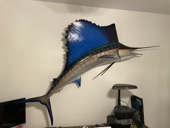 Sail Fish 