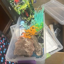 Aquarium decorations, rocks, and plants plus