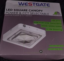 Westgate canopy led light