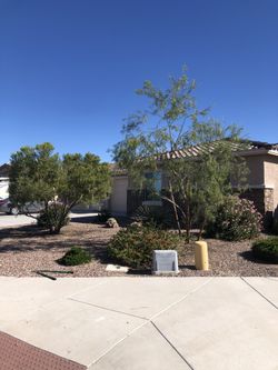 Tree Trimmer Or Bush Trimmer For Sale! 