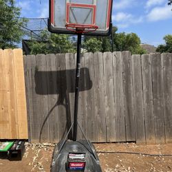 Lifetime Basketball Hoop adjustable