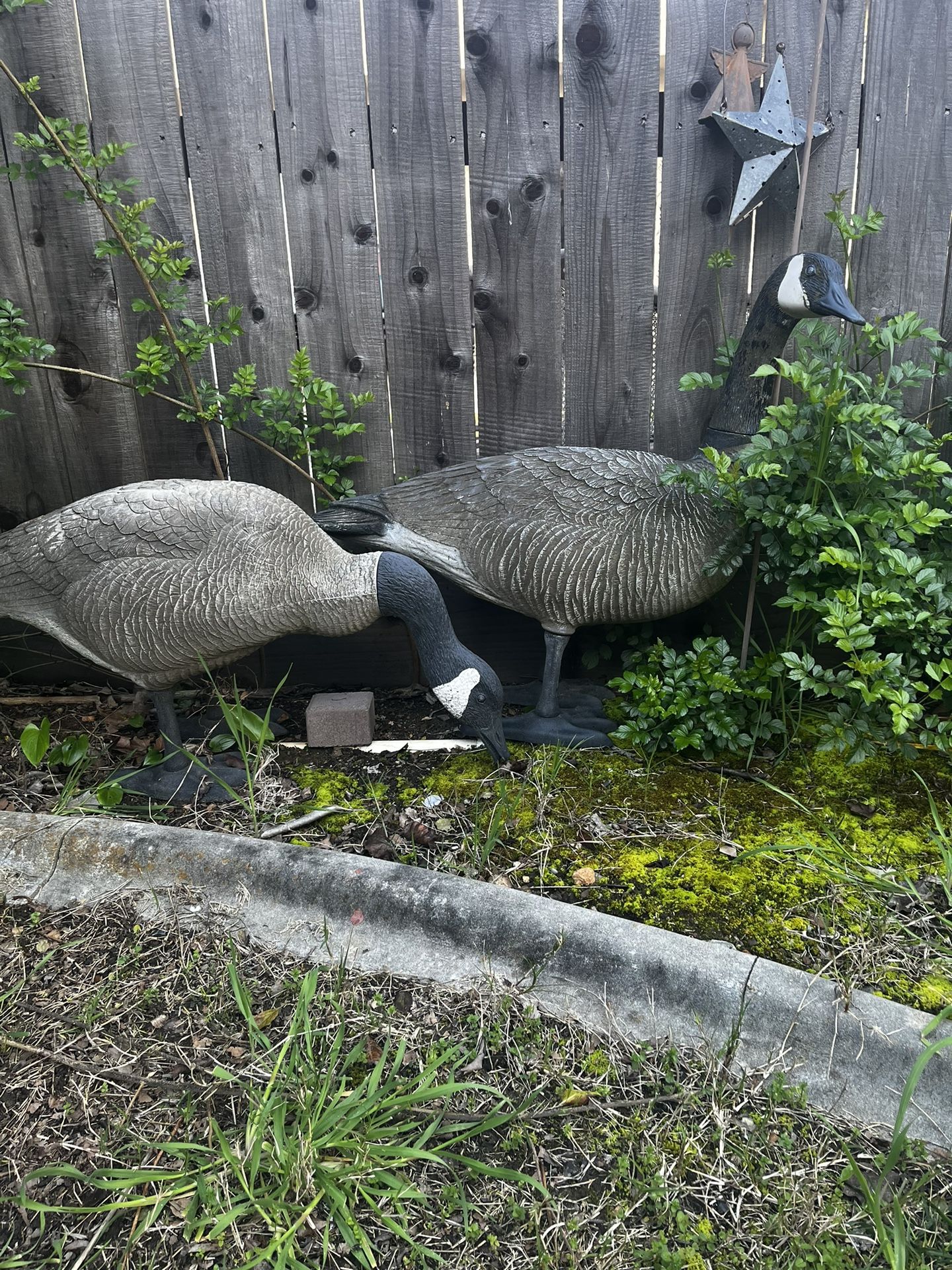 Geese statue