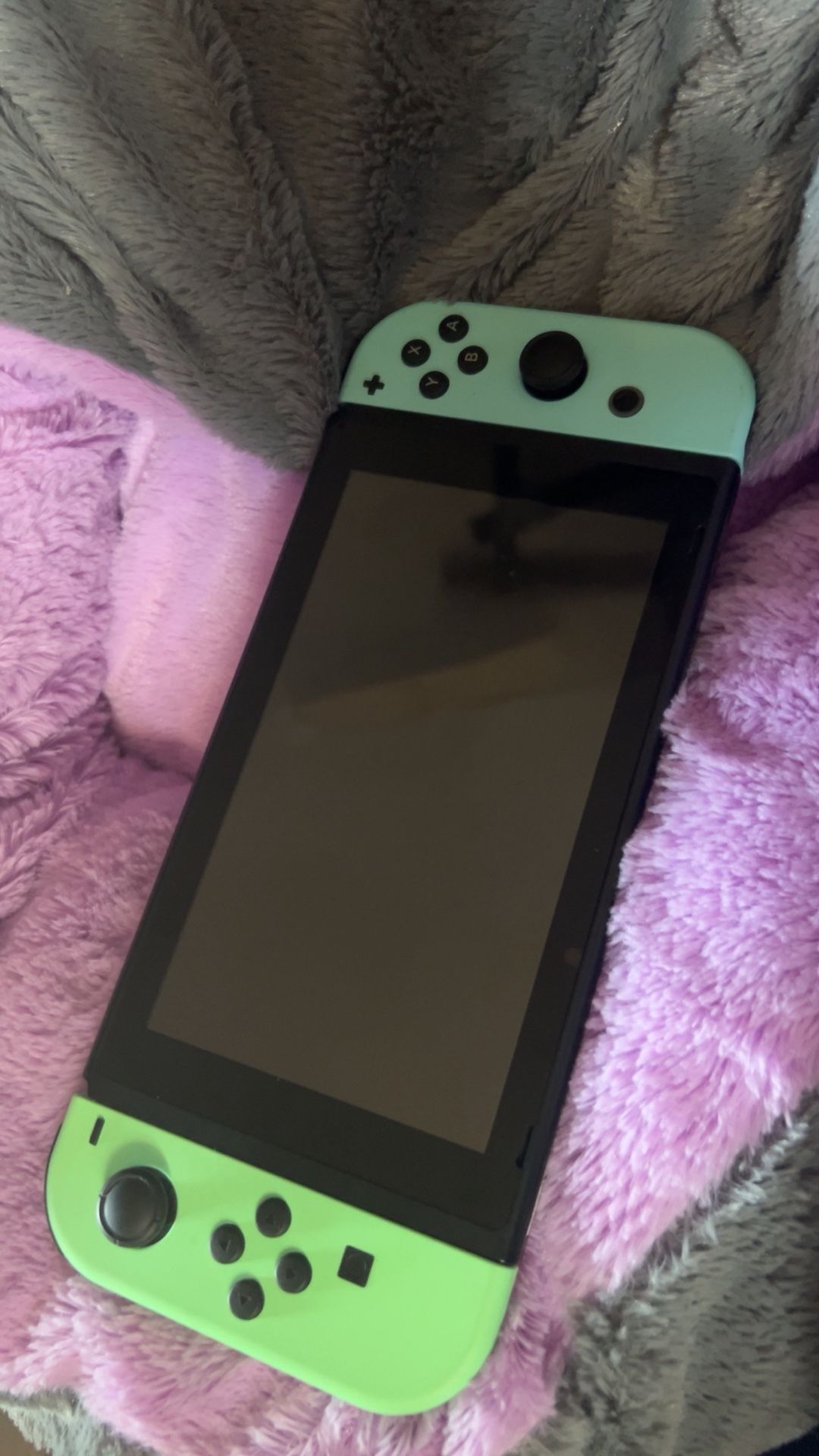 Nintendo Switch (ACNH Special Edition)
