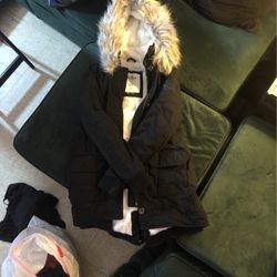 Hollister Winter Jacket 