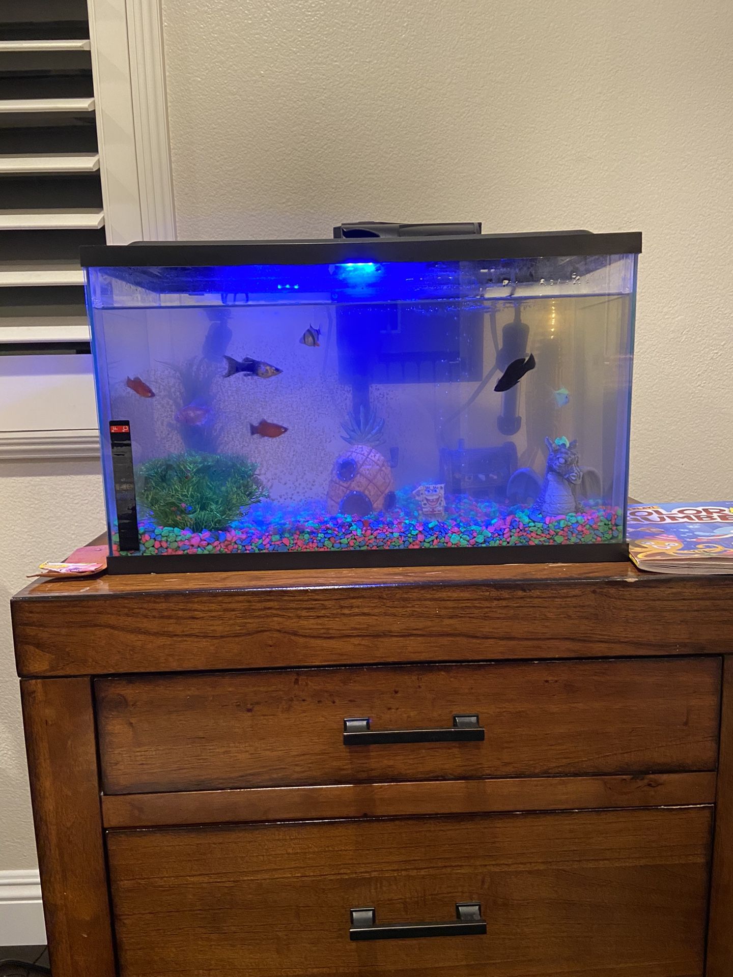 10 gallon fish tank with fish and all decor and pump included