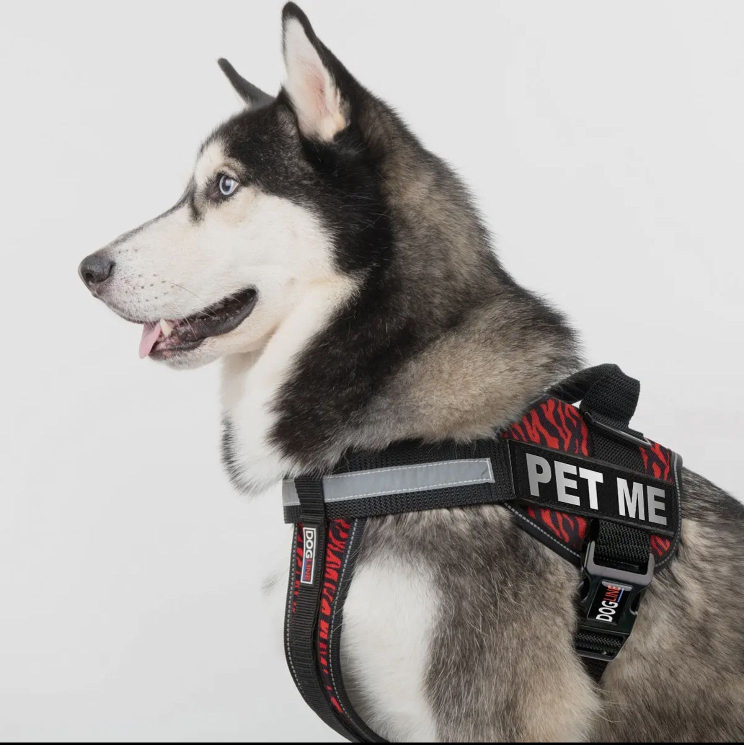 Removable Reflective Patches (set of 2)