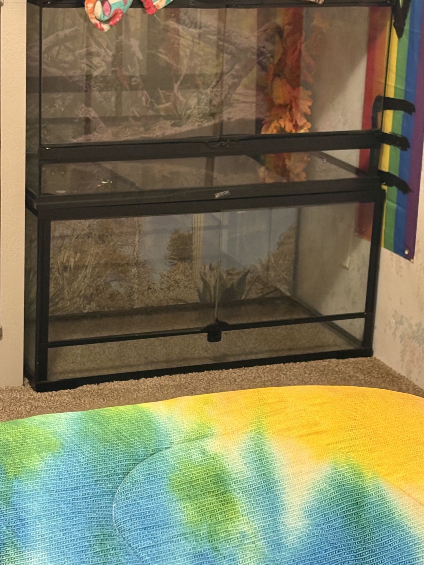 Two 40 Gallon Front Opening Tanks