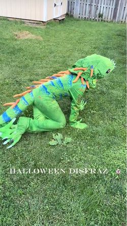 Iguana costume