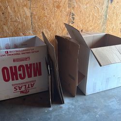 Move out boxes