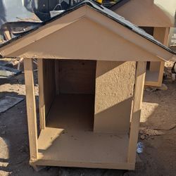 Dog House 