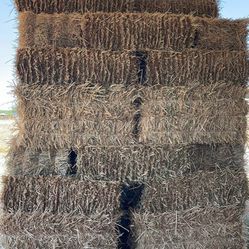 2025 High Quality Forage mix oat hay small bale for sale