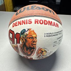 Vintage 1996 NBA DENNIS RODMAN Chicago Bulls Sportacular Art Mini Basketball NEW